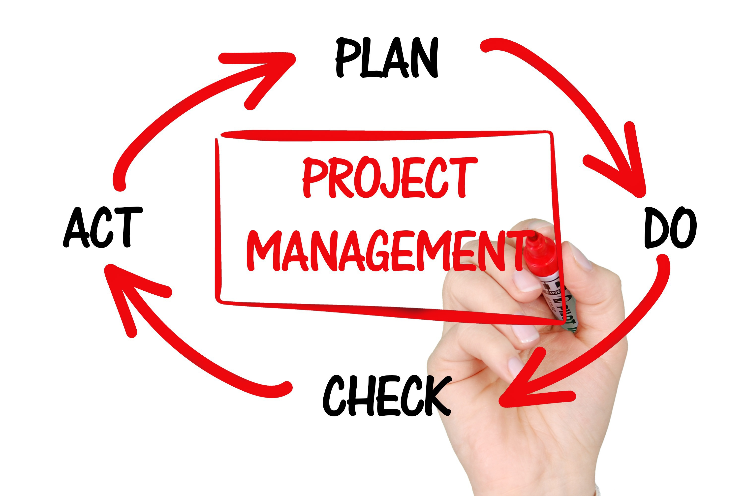 Projet en cours de API Business